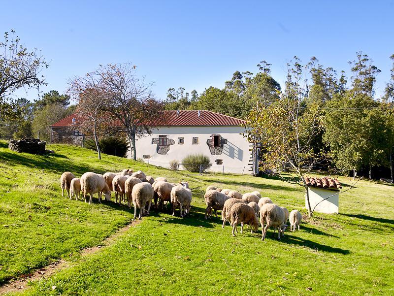 Affittacamere A Pena De Augasantas Oca de Abaixo Esterno foto