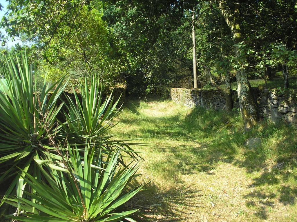 Affittacamere A Pena De Augasantas Oca de Abaixo Esterno foto