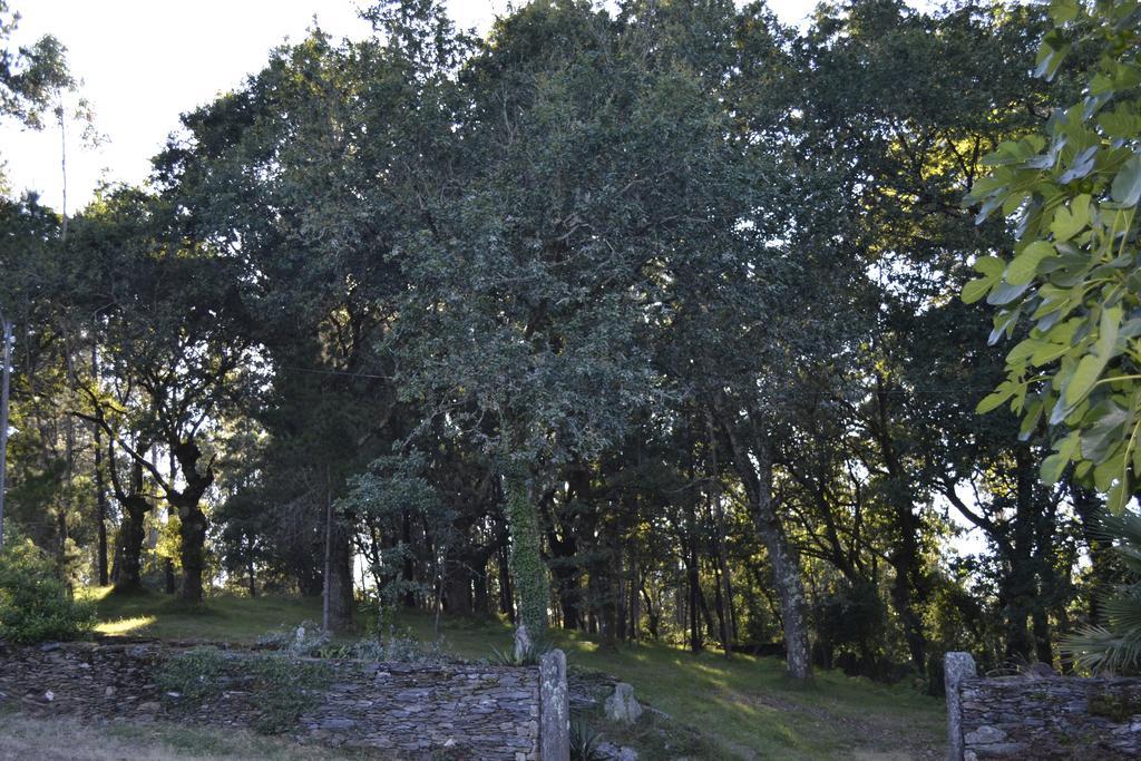 Affittacamere A Pena De Augasantas Oca de Abaixo Esterno foto